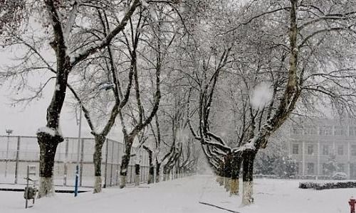 贊美冬天的雪景的詩(shī)句古詩(shī)