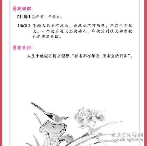 古詩(shī)詞,朗誦,詩(shī)句