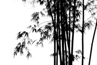 有關(guān)于商人的詩(shī)句