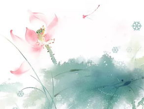 關(guān)于或寫(xiě)花的詩(shī)句