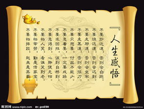 詩(shī)句,感悟