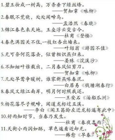詩(shī)句,積累,廚房,材料