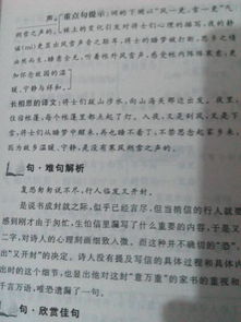 關(guān)于五級上冊的詩(shī)句的意思是什么