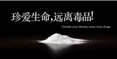 關(guān)于禁毒的文章詩(shī)句名句