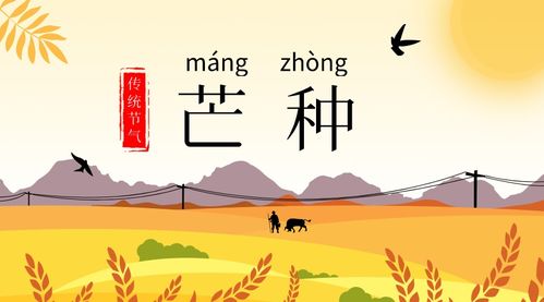 形容盛會(huì )的古詩(shī)句