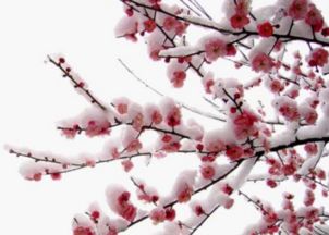 關(guān)于中秋的古詩(shī)句五言絕句,關(guān)于誠信的古詩(shī)句五言絕句,廉潔古詩(shī)句五言絕句
