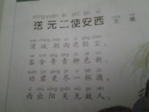 古詩(shī)中描寫(xiě)鳥(niǎo)鳴的詩(shī)句