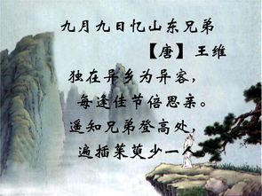 詩(shī)句,有名,大全,于月
