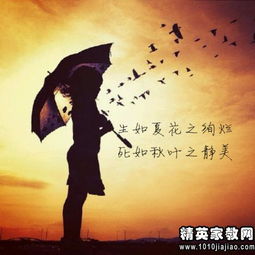 描寫(xiě)海邊落日優(yōu)美的古詩(shī)句