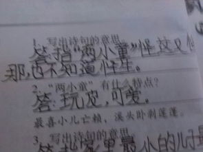 詩(shī)句,寫(xiě)出,連續