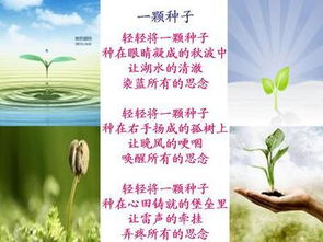 關(guān)于友愛(ài)的現代詩(shī)句