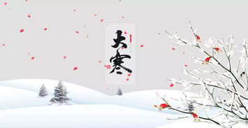 大寒,詩(shī)句,作者,介紹