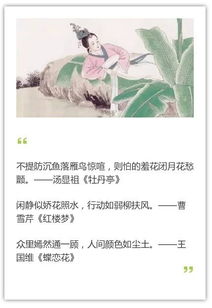 古詩(shī)詞稱(chēng)贊女子詩(shī)句