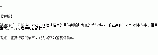 天花,詩(shī)句,景物,于春