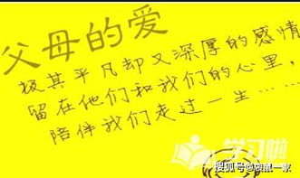 寫(xiě)兩句表現偉大母愛(ài)或父愛(ài)的古詩(shī)句