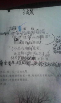 求之不得,詩(shī)句,表達