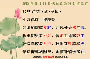 關(guān)于月的詩(shī)句古詩(shī)歡樂(lè )