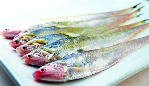 關(guān)于刀魚(yú)的詩(shī)句
