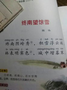 關(guān)于解悶的詩(shī)句