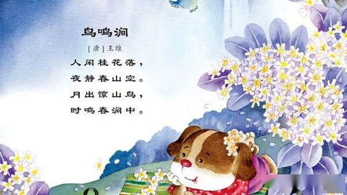 形容知書(shū)達理的詩(shī)句,女子知書(shū)達理的詩(shī)句,贊美女人知書(shū)達理的詩(shī)句