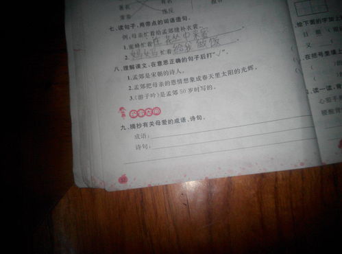 關(guān)于母親的諺語(yǔ)或詩(shī)句