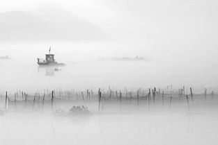 樹人,詩句,立德,著名