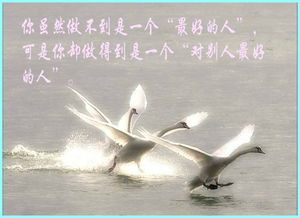 關(guān)于父母愛(ài)的古詩(shī)句子