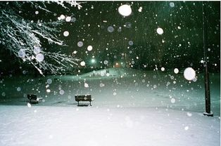關(guān)于雪的悲傷詩(shī)句