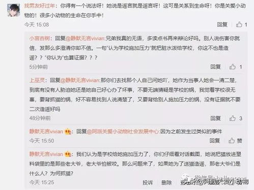 詩(shī)句,加油,文章