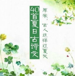 古詩(shī),詩(shī)句,景色,夏天