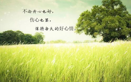 描寫(xiě)夏天心情好的詩(shī)句,夏天心情好的詩(shī)句唯美意境,早上心情好的詩(shī)句夏天