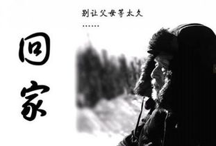 關(guān)于回家過(guò)節的詩(shī)句