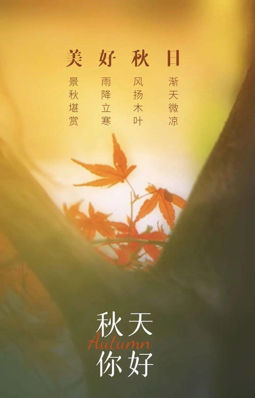 關(guān)于九月的詩(shī)句古詩(shī)詞
