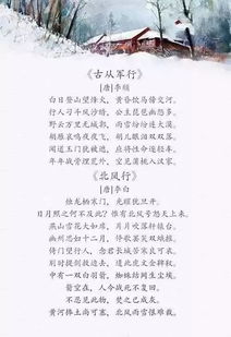 請積累描寫(xiě)關(guān)于星星的詩(shī)句