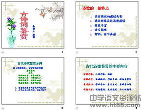 中考重點(diǎn)古詩(shī)句鑒賞