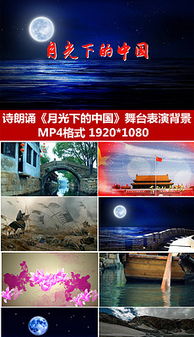 關(guān)于明月當空時(shí)的詩(shī)句