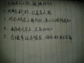 關(guān)于標準詩(shī)句