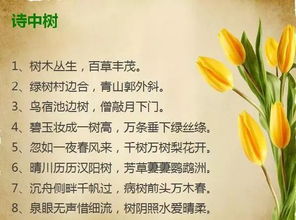 詩(shī)句,中考,祝愿,美好