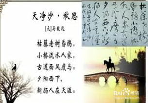 關(guān)于詩(shī)句意境的詩(shī)句是