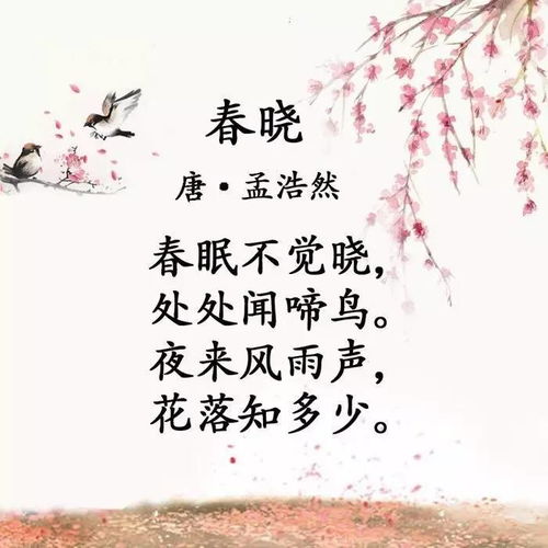 春雨描寫(xiě)春天的詩(shī)句古詩(shī)