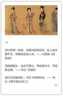 詩(shī)句,女性健康