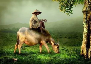 關(guān)于紅色的牛的詩(shī)句