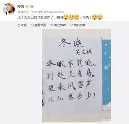 關(guān)于贊美孩子寫(xiě)字認真的詩(shī)句