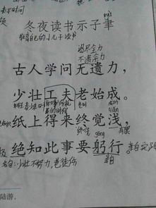 詩(shī)句