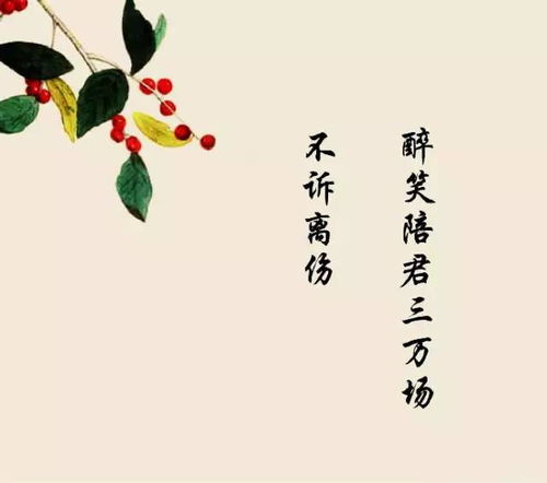 詩(shī)句,不遠,距離