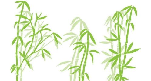 竹贊頌竹的古詩(shī)句