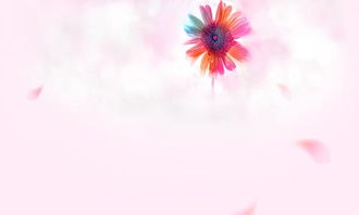 關(guān)于秋花的詩(shī)句
