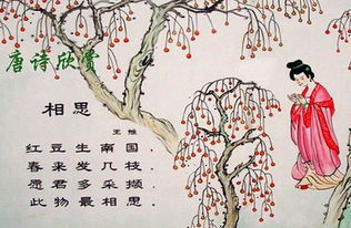 關(guān)于桂花的相思詩(shī)句古詩(shī)