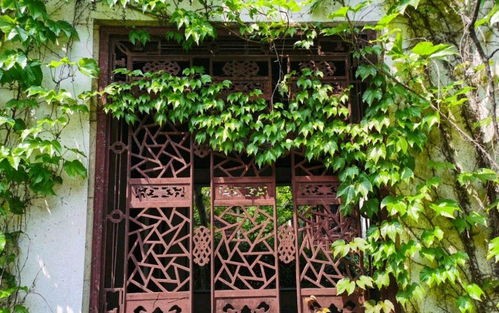 關(guān)于留園的詩(shī)句意思