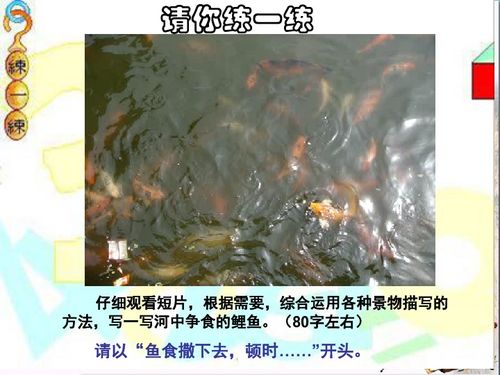 關(guān)于一景一物總關(guān)情的句子或詩(shī)句的